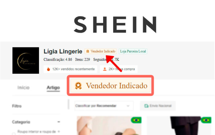 Como se Tornar um Vendedor Indicado da SHEIN